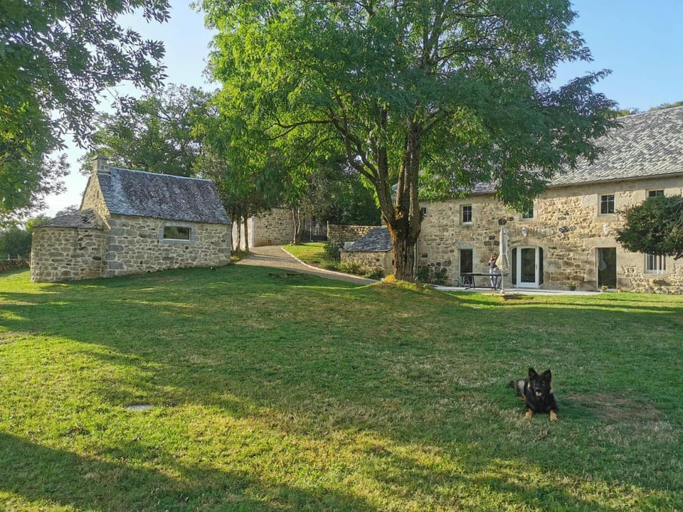 Patio, Garden, Garden view