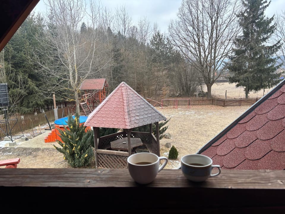 Day, Natural landscape, View (from property/room), Garden view