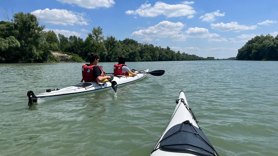 Activities