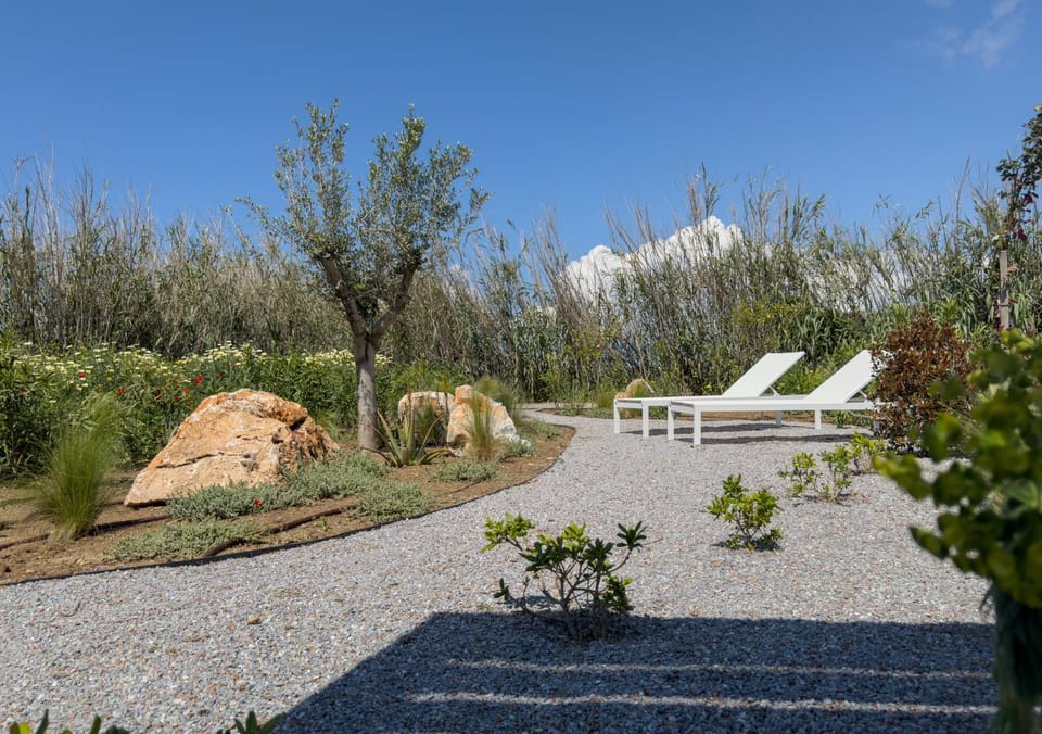 Spring, Day, Natural landscape, Garden, Garden view