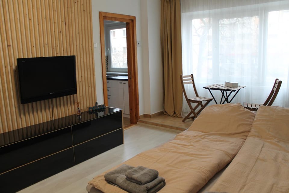 Tristan`s Home Apartment in Brașov County