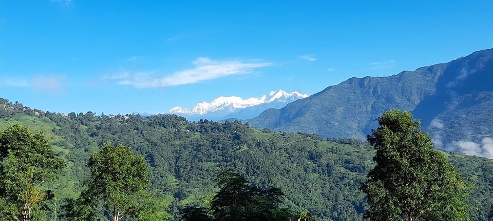 View (from property/room), Mountain view