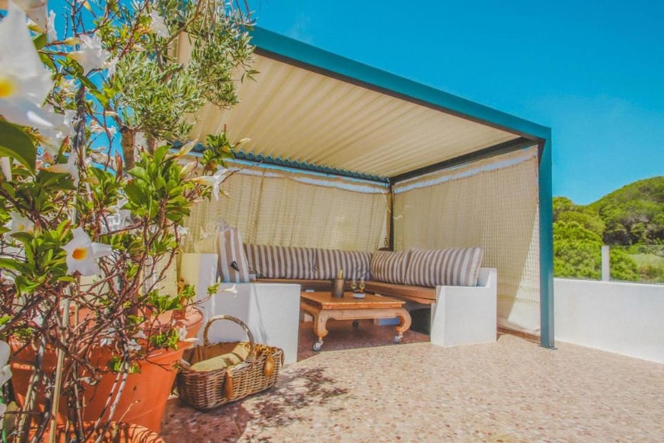 Casa do Cacto House in Olhos de Água