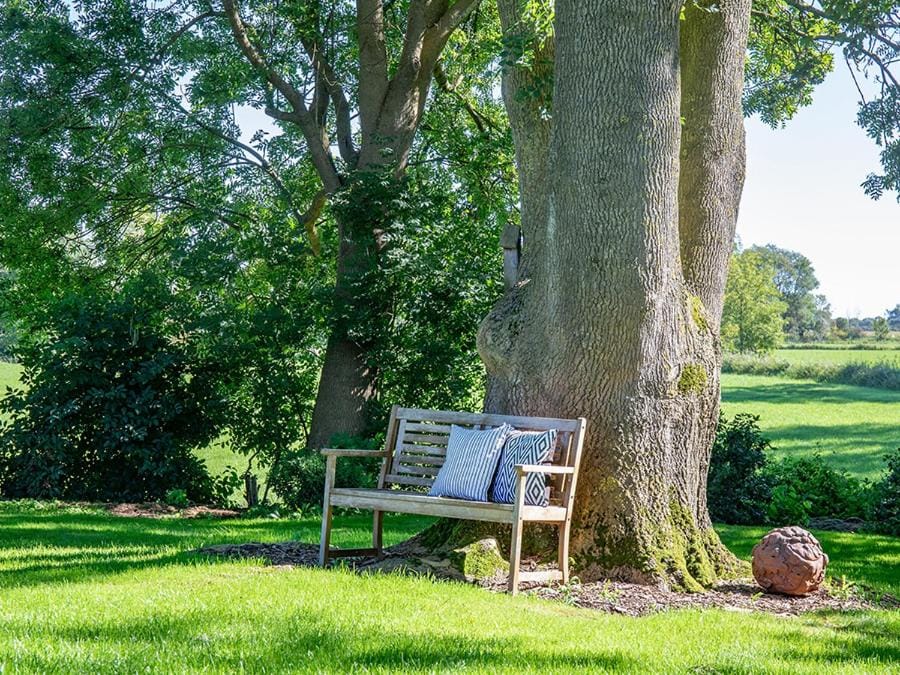 Natural landscape, Garden, Garden, Garden view