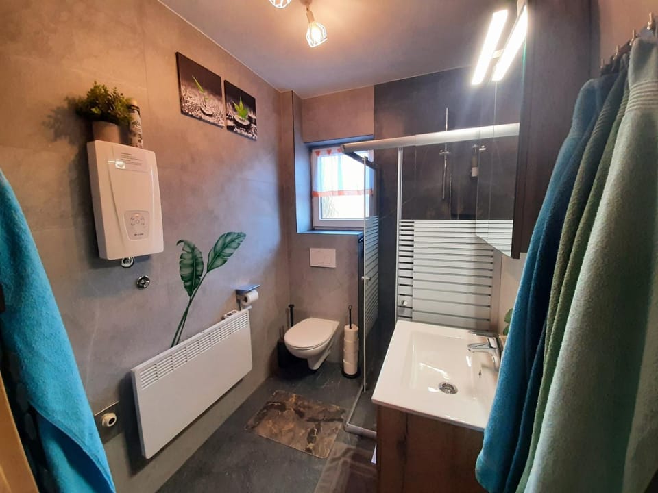 Shower, Toilet, Bathroom, towels