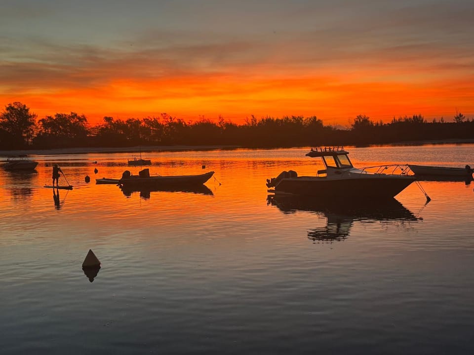 Casa do Roberto Burle Marx House in Rio de Janeiro