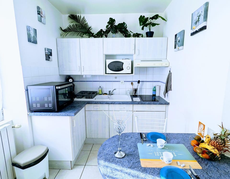 Kitchen or kitchenette, Dining area, oven, stove, toaster