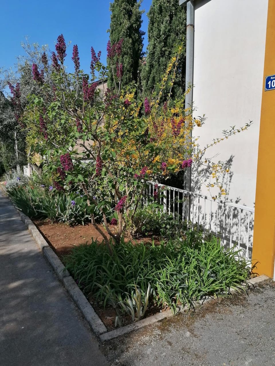 Property building, Facade/entrance, Garden