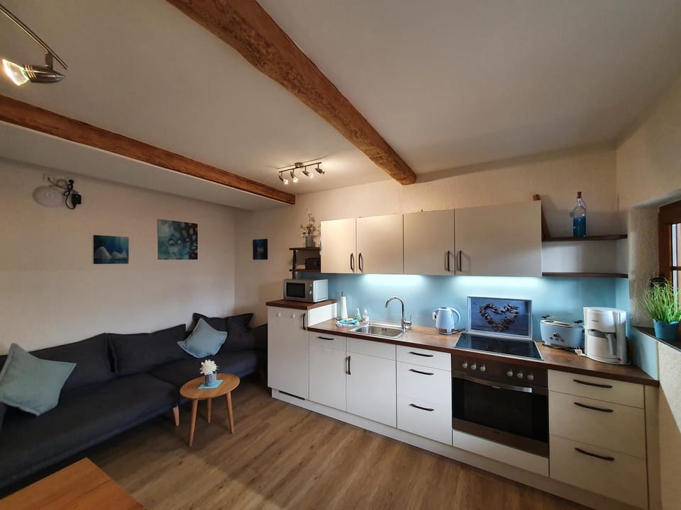 Kitchen or kitchenette, Living room, dishwasher, oven, stove, toaster