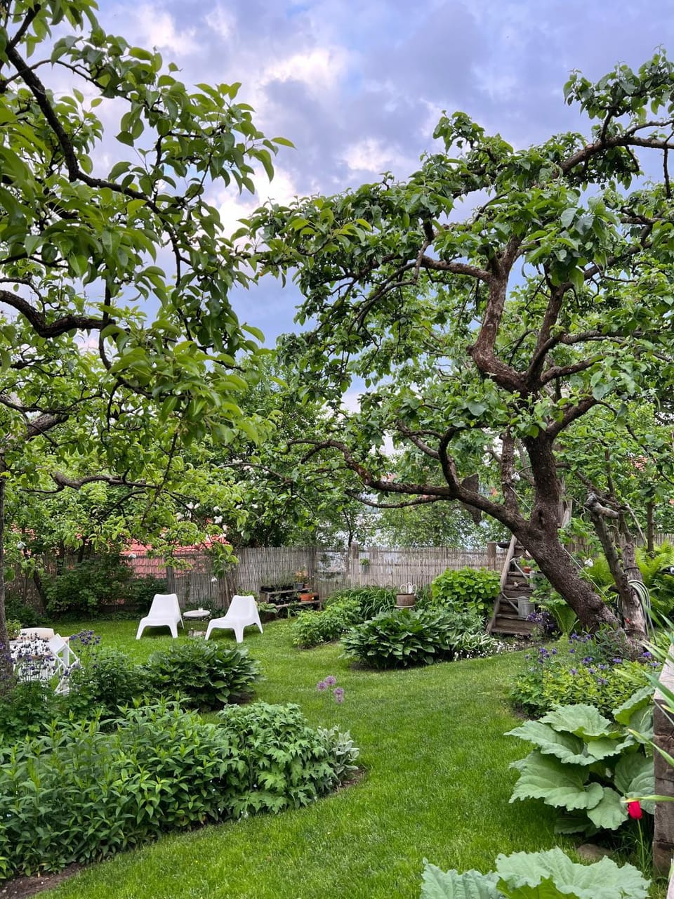 Spring, Day, Natural landscape, Garden, Garden view