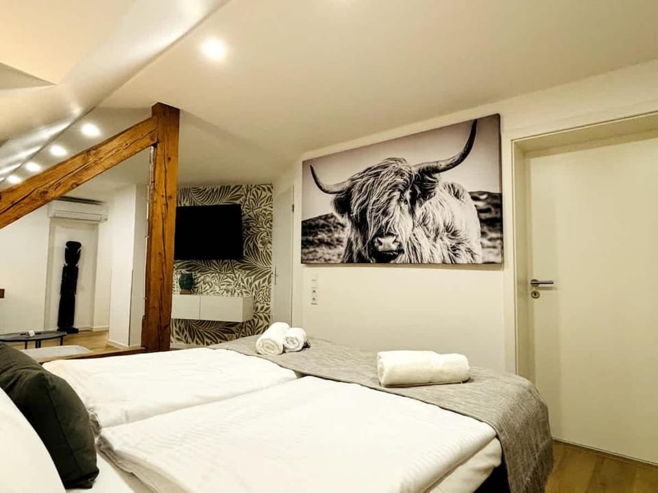 Bed, Living room, Photo of the whole room
