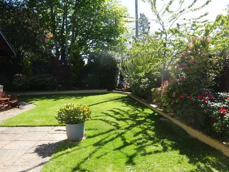 Patio, Garden