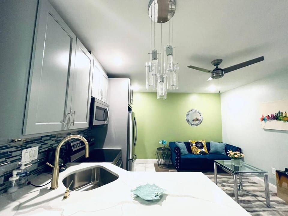 Rittenhouse Square near Kimmel Center 1BD Suite Apartment in Rittenhouse Square