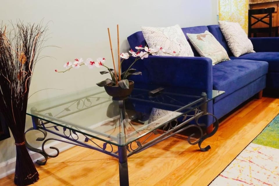 Beautiful 1BD Apt with Roofdeck in Passyunk Square Apartment in Philadelphia