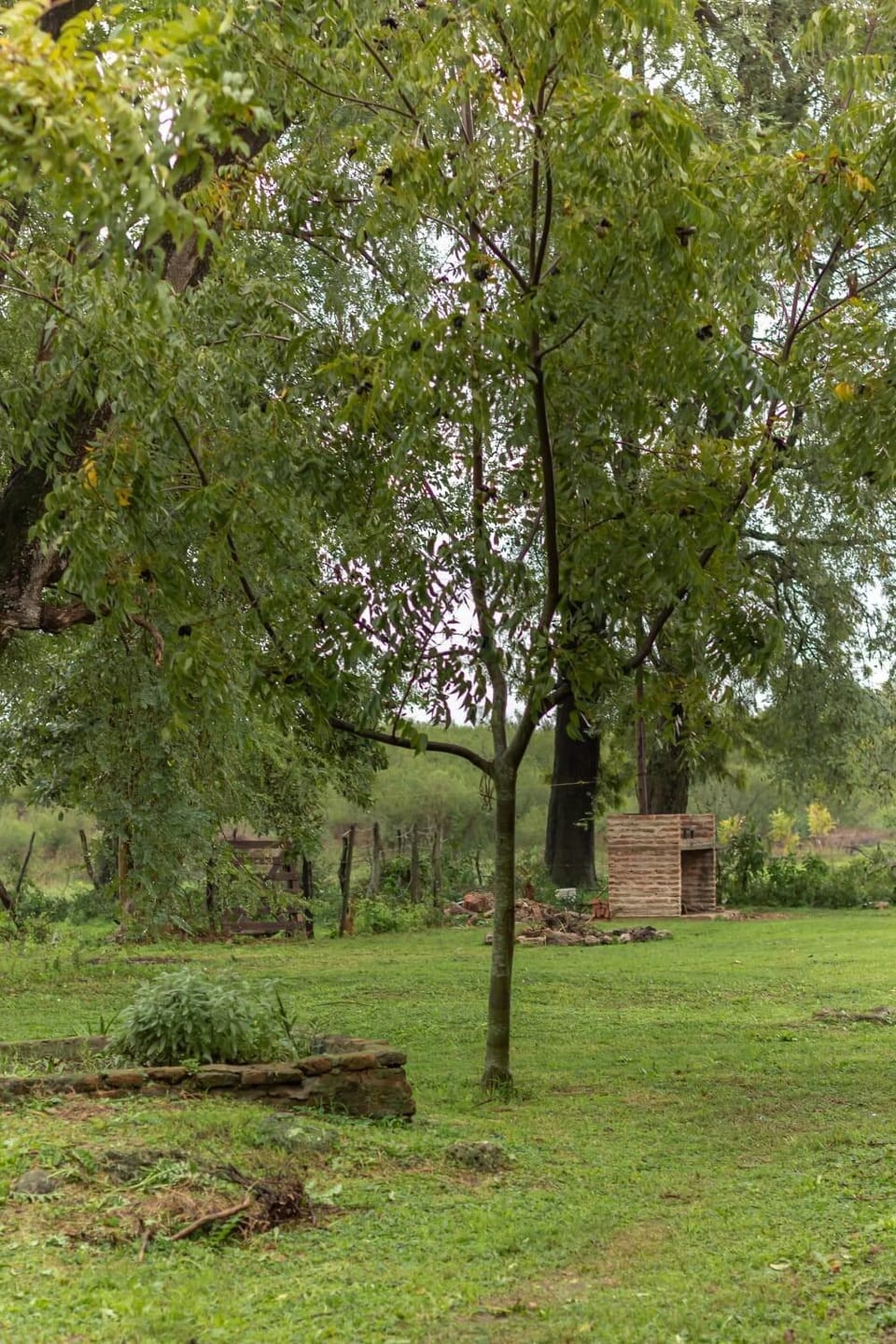 Natural landscape
