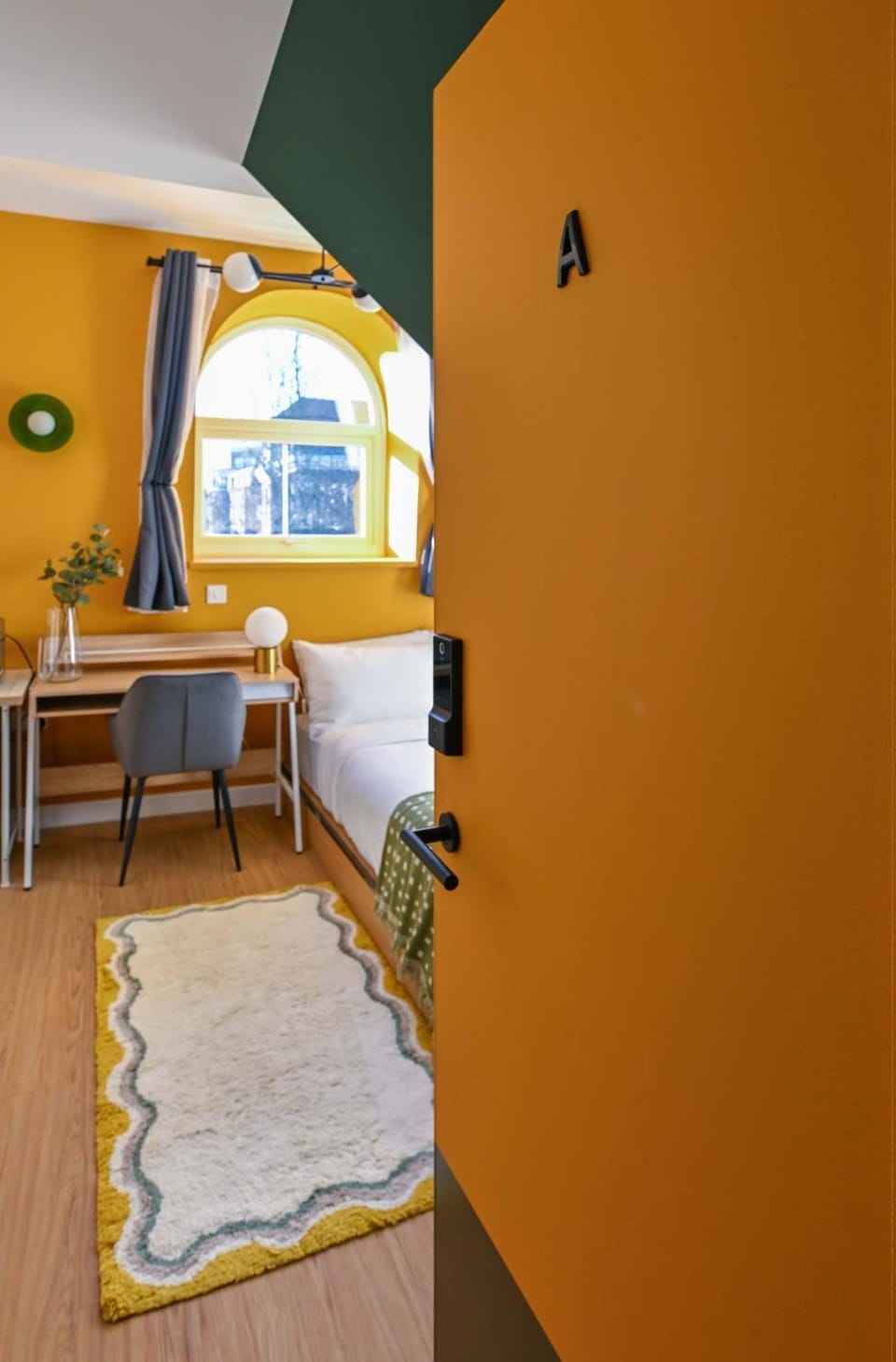 Photo of the whole room