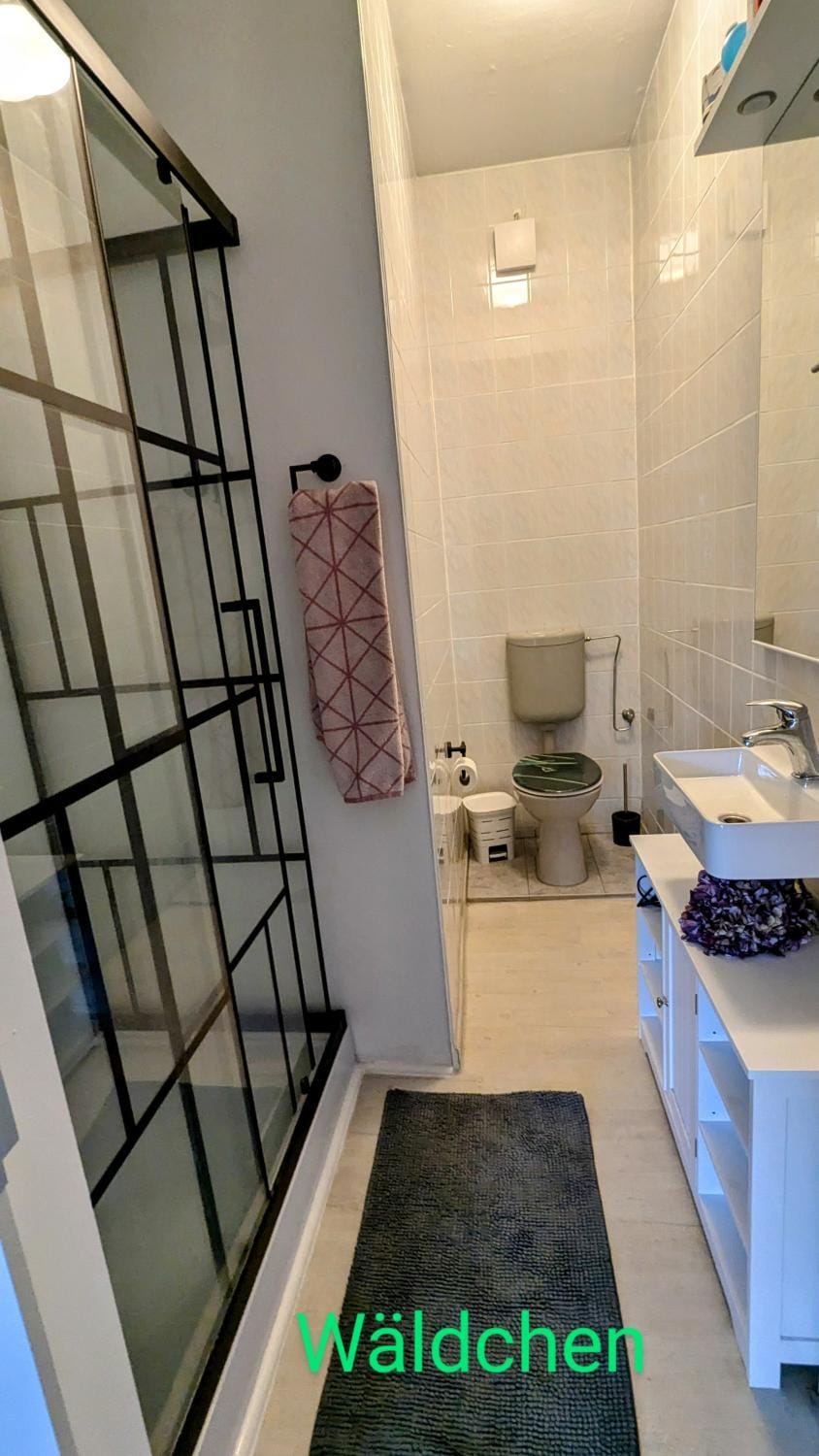 Shower, Toilet, Bathroom, towels