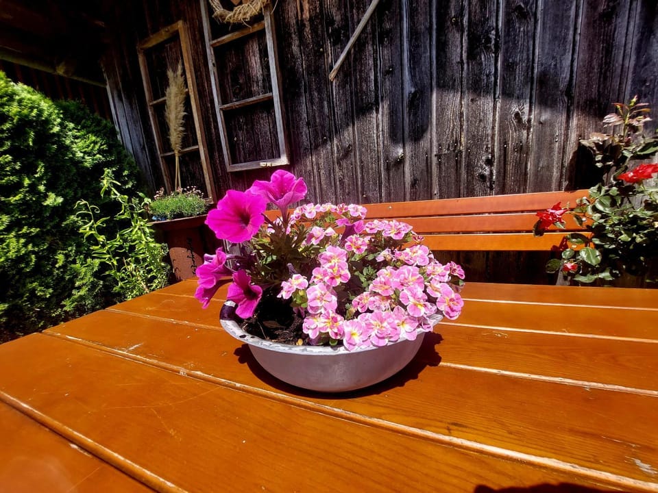 Ferienwohnung Schneckenpointner Apartment in Berchtesgadener Land