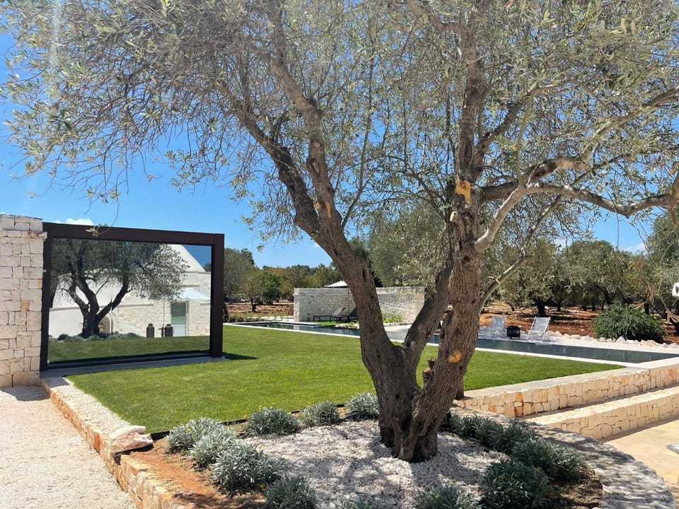 Garden, Garden view, Swimming pool