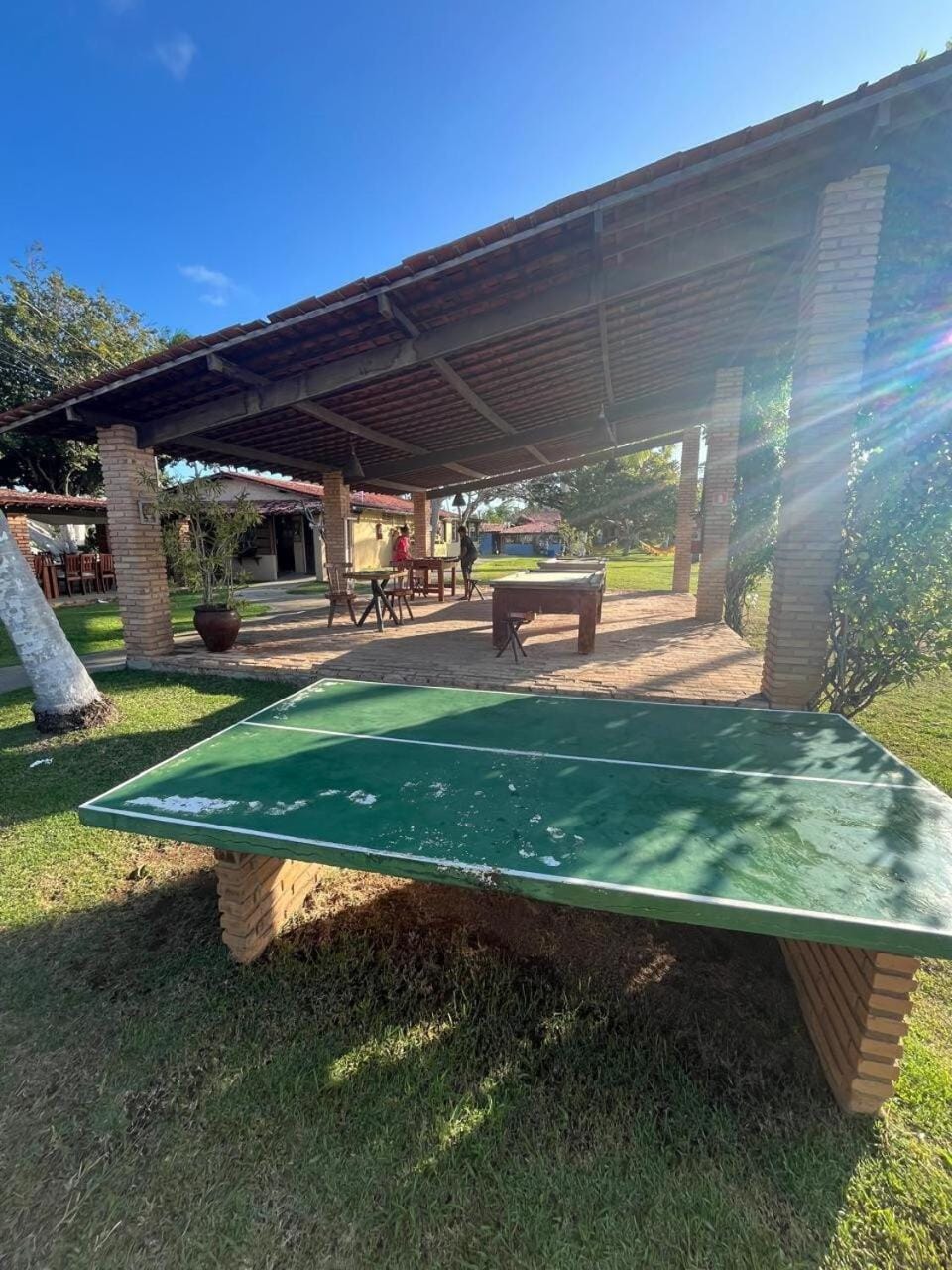 Day, Table tennis