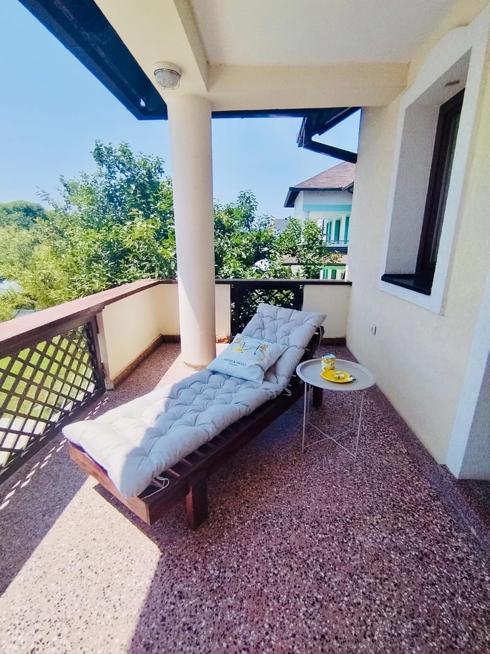 Stunning Danube Villa House in Novi Sad