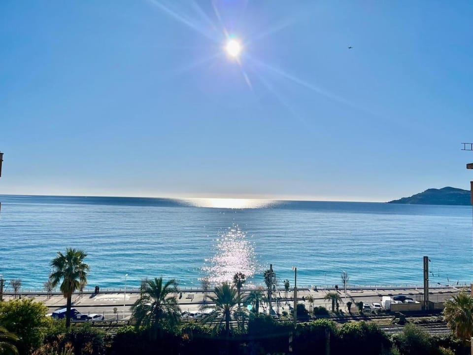 Sun and Sea Apartment in Cannes