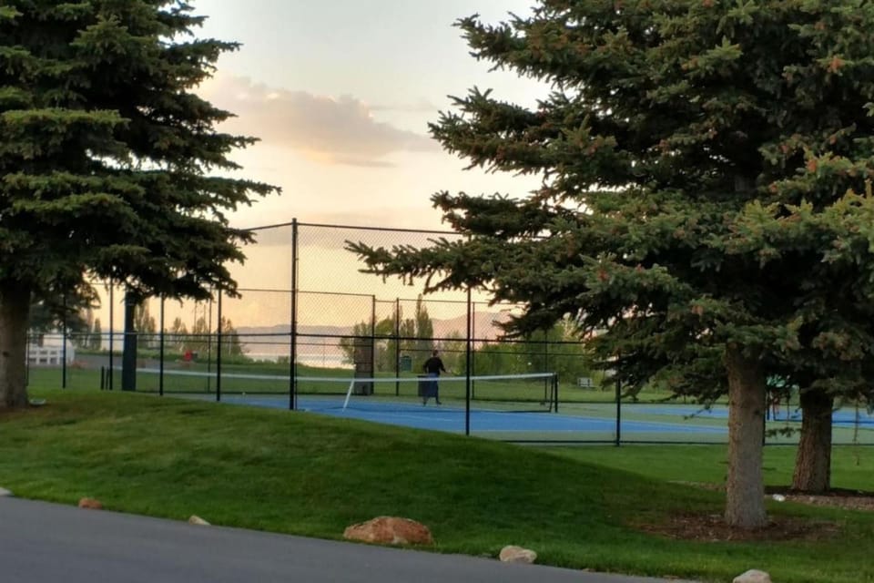 Tennis court