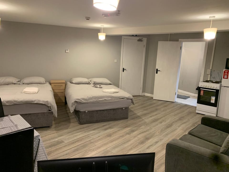 Viking triangle Waterford city Apartment in Waterford City