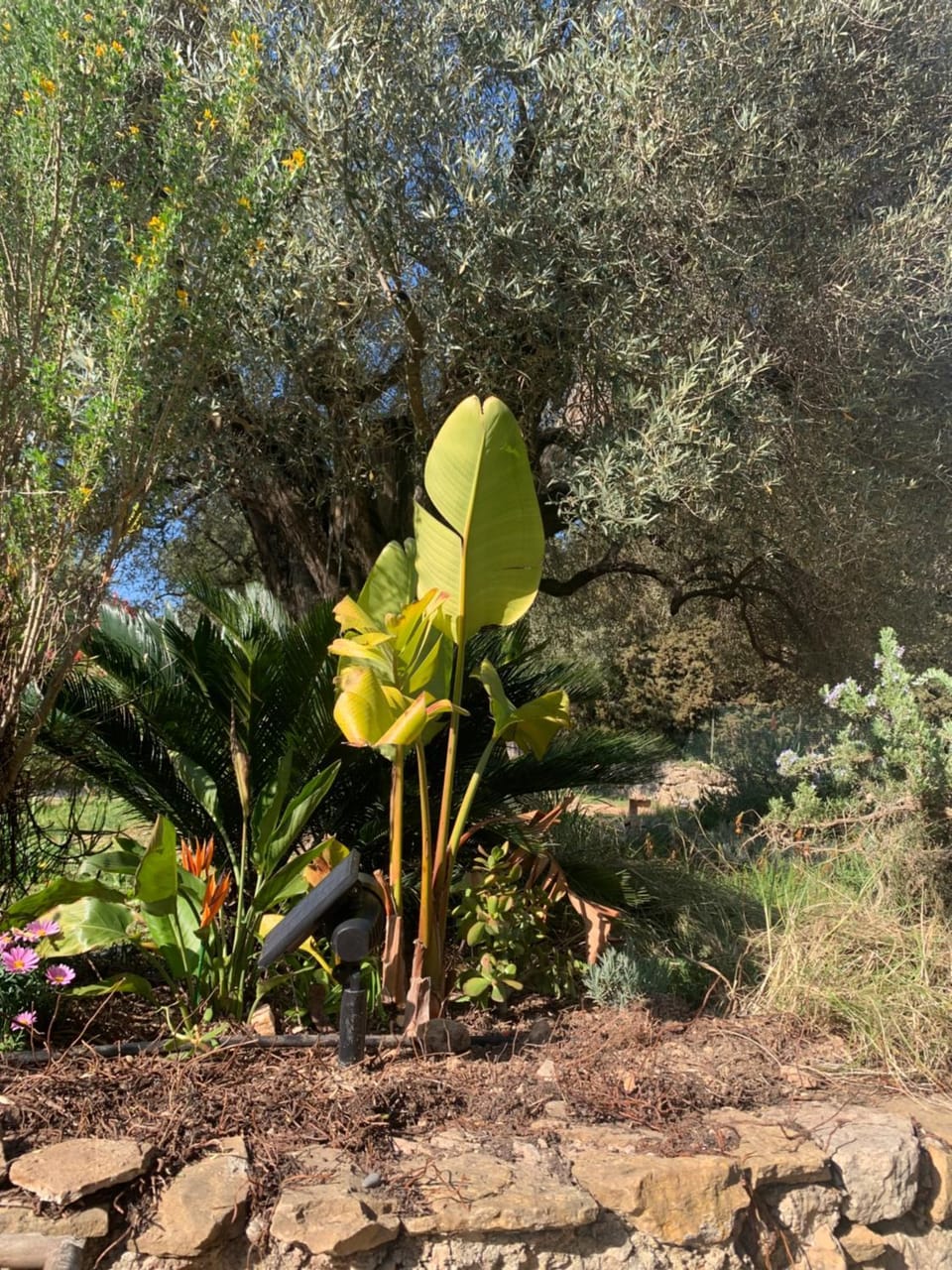 Tranquilité House in Sanary-sur-Mer