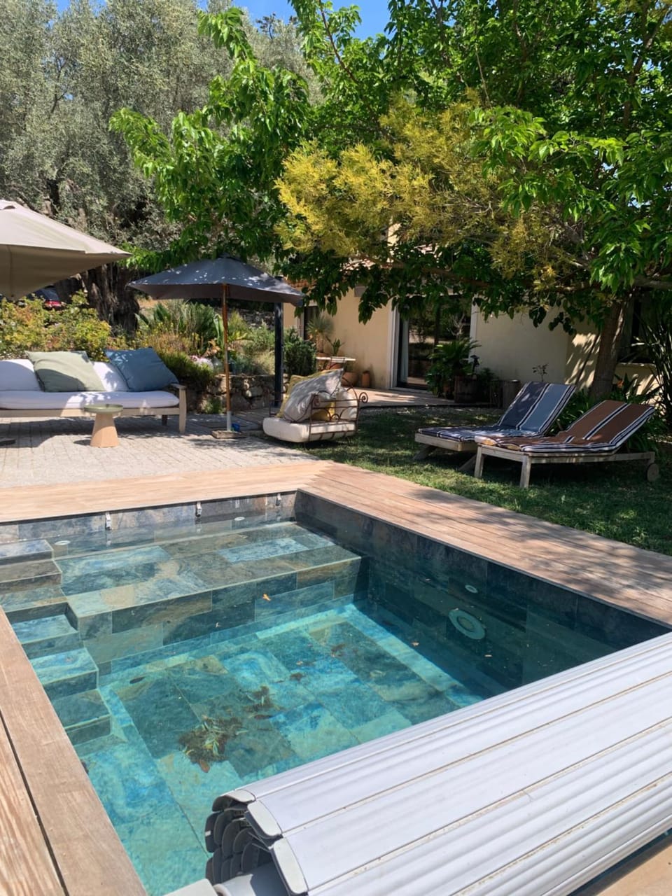 Patio, Natural landscape, Pool view, sunbed