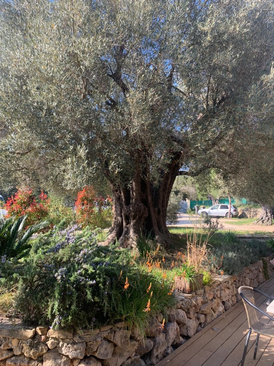 Tranquilité House in Sanary-sur-Mer
