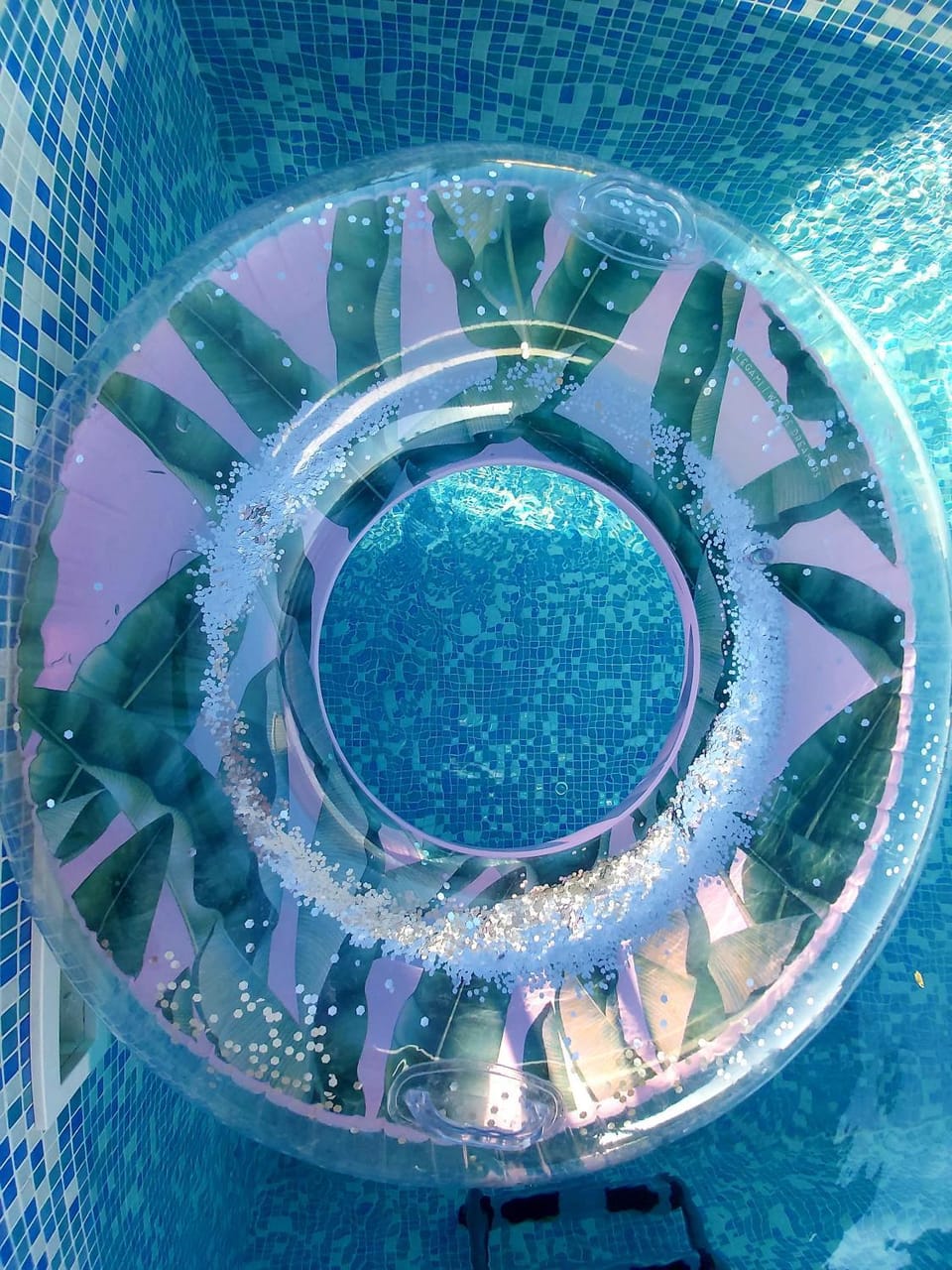 Day, Pool view, Swimming pool