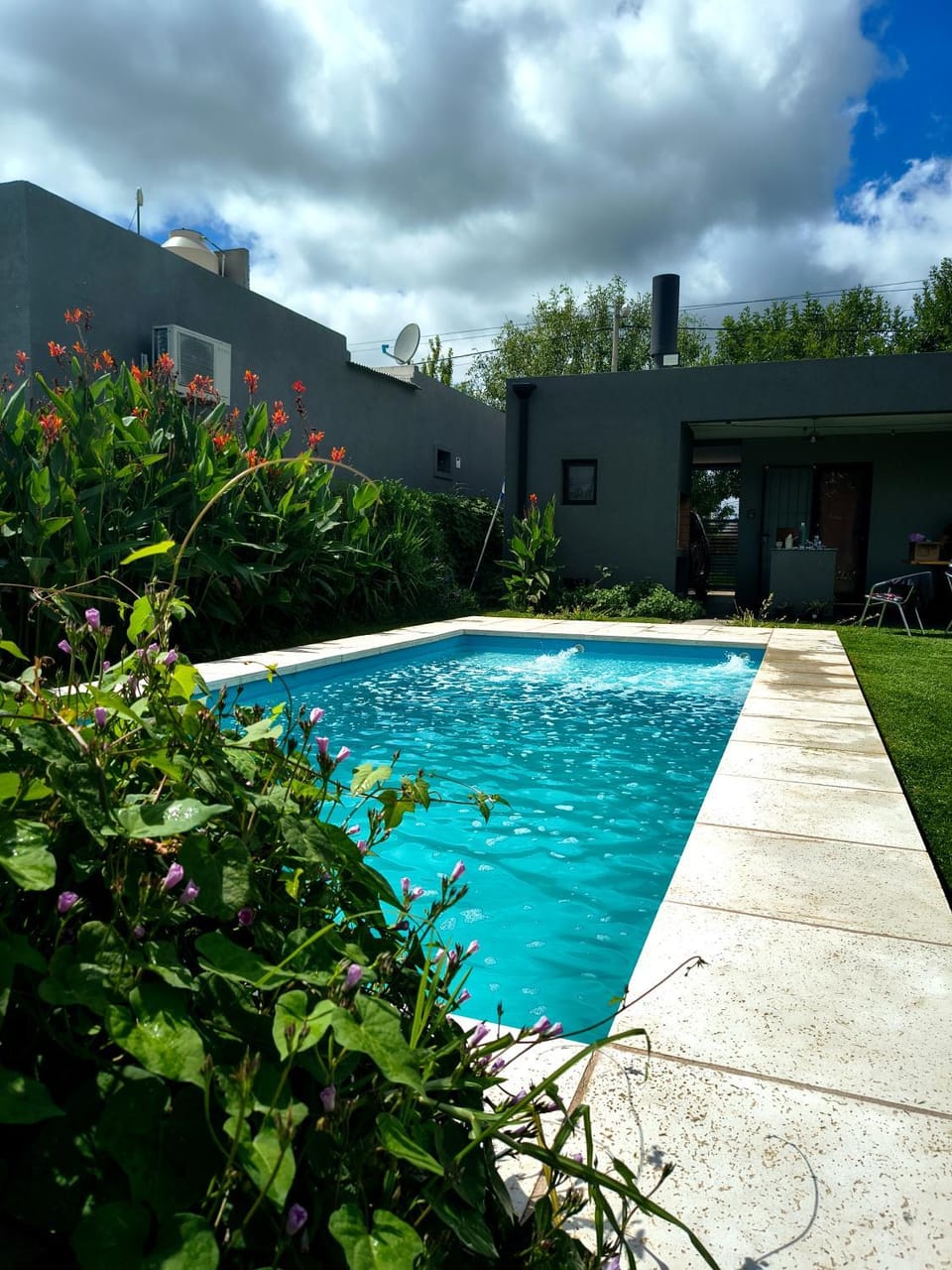 Property building, Day, Garden, Garden view, Pool view, Swimming pool