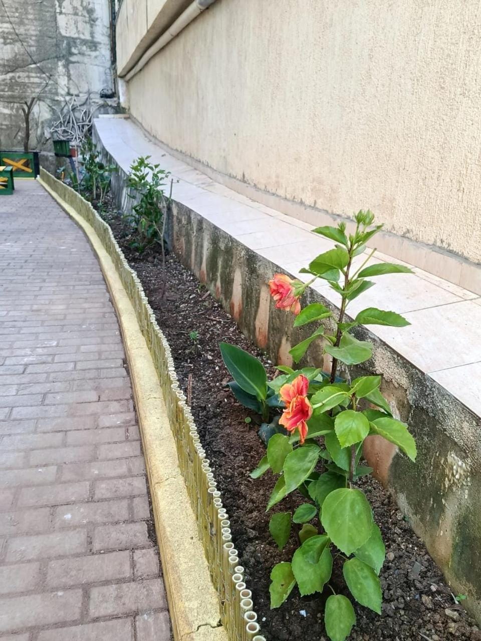 Genti Apartament Apartment in Sarandë