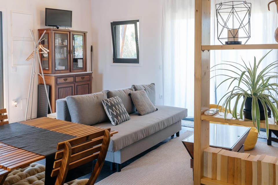 Living room, Decorative detail, Seating area, Dining area
