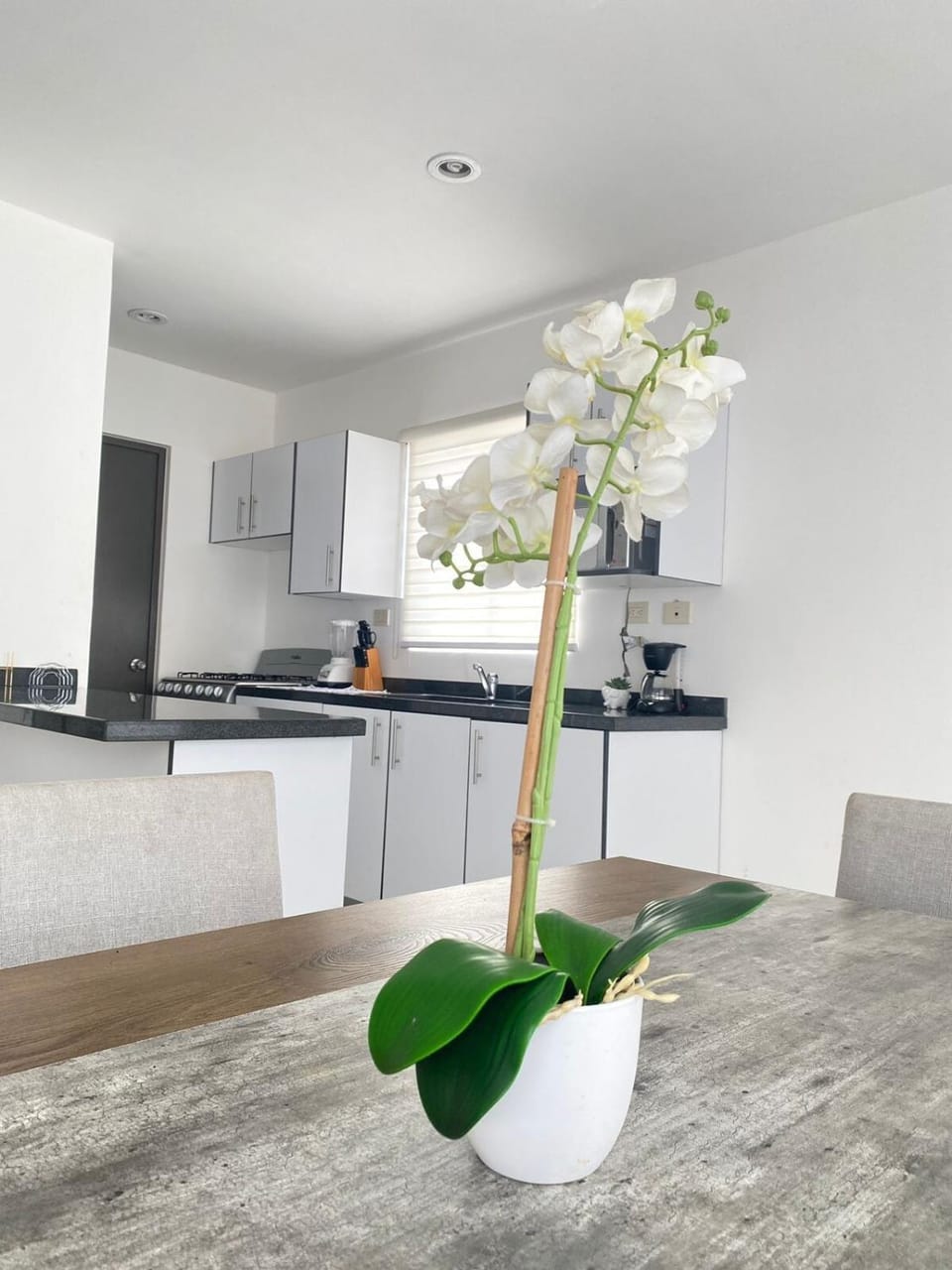 Alejandria Mazatlan Vacation Rental Apartment in Mazatlan