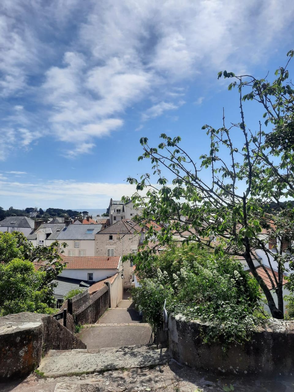 Les Merisiers - Maison moderne avec jardin House in Pornic