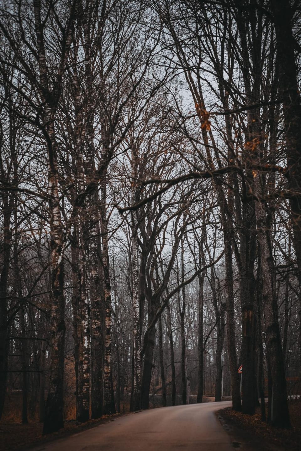 Neighbourhood