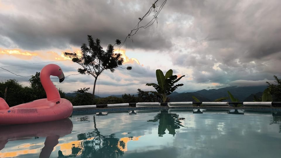 Swimming pool