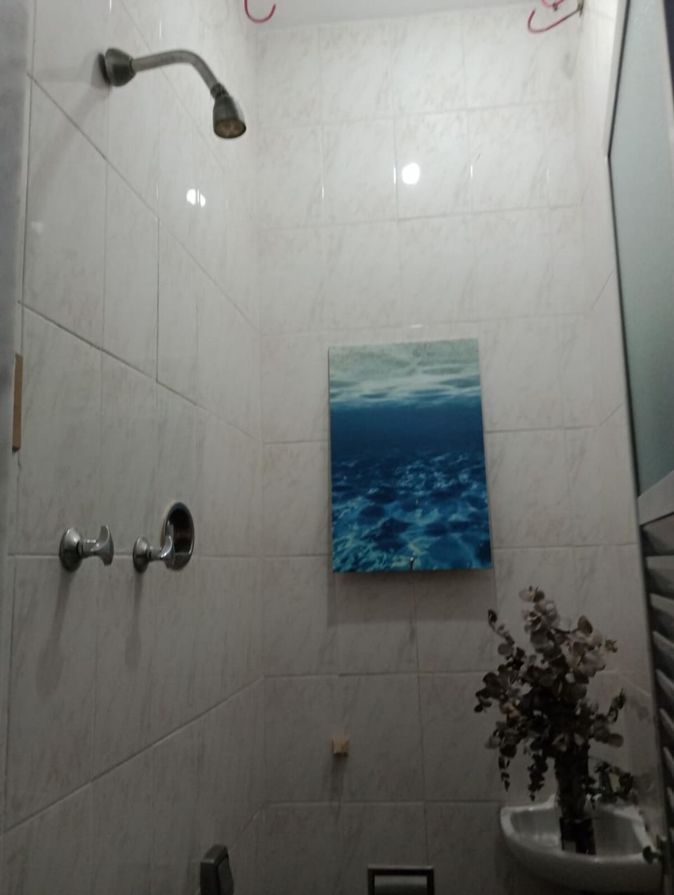 Only womens in the heart of orange trees Vacation rental in Santa Teresa