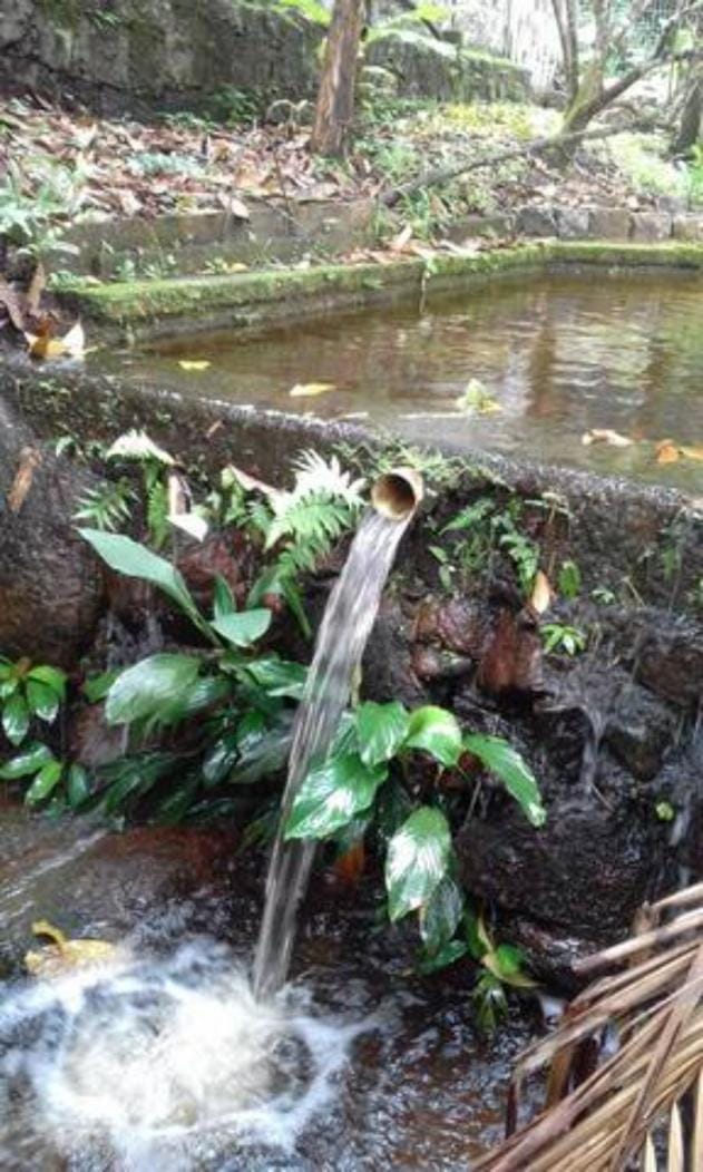 Garden, River view