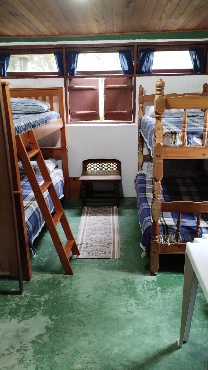 Bed, Photo of the whole room, Decorative detail, Bedroom, bunk bed