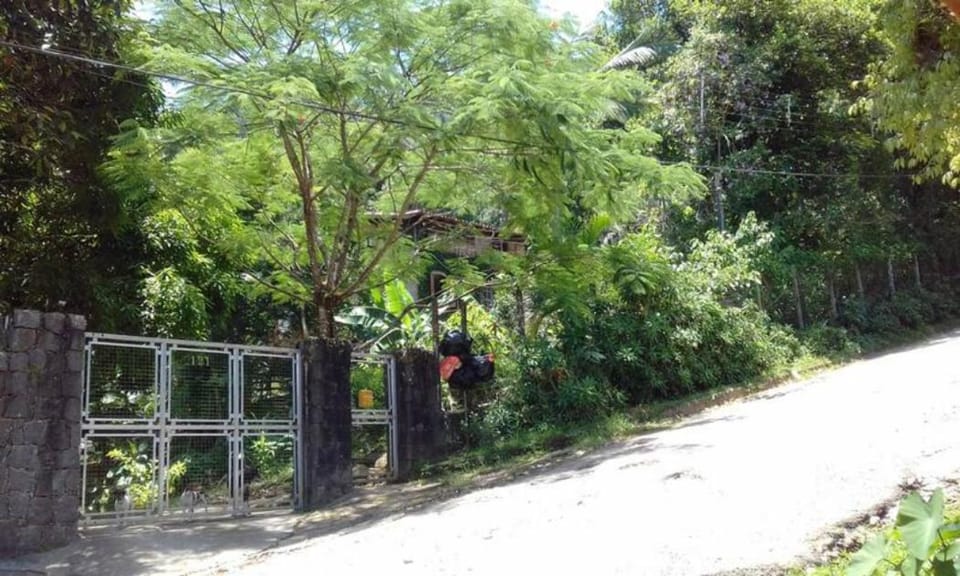 Facade/entrance, Garden, Street view, Quiet street view