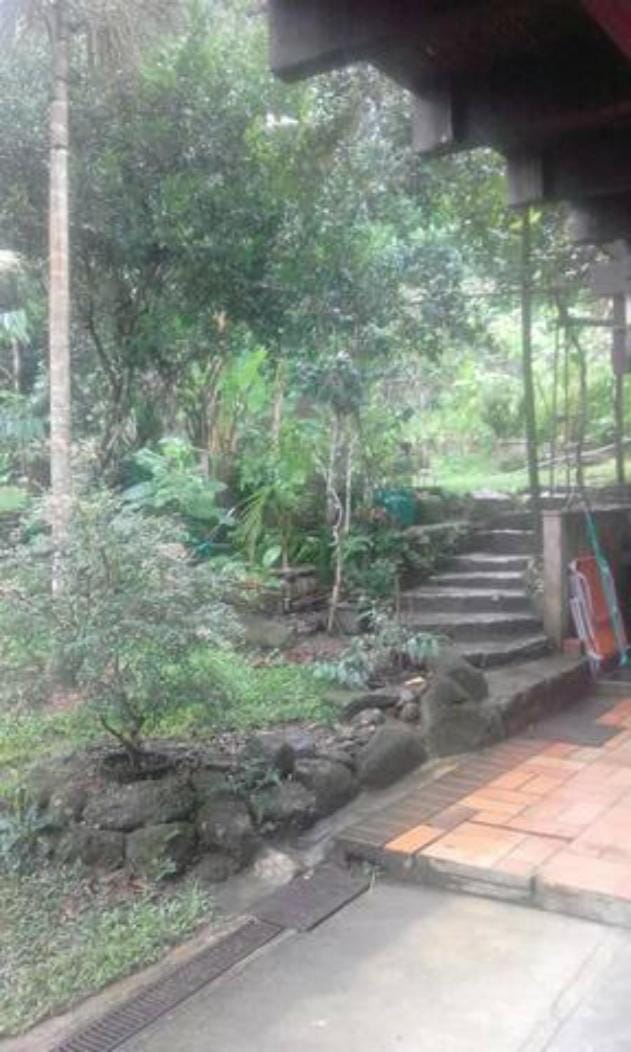 Facade/entrance, Garden