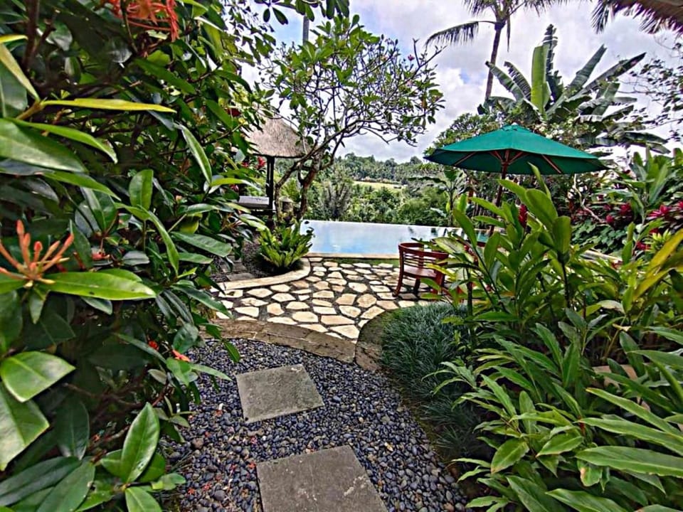 Garden, Balcony/Terrace, Inner courtyard view