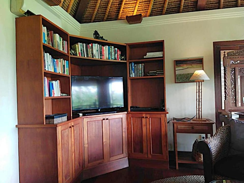 Communal lounge/ TV room, TV and multimedia