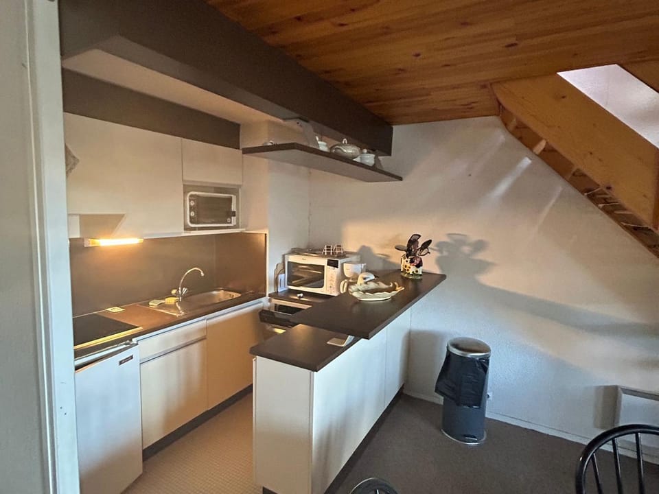 Appartement spacieux en montagne avec loggia, au cœur de la station, proche piste et lac - FR-1-814-62 Apartment in Besse-et-Saint-Anastaise