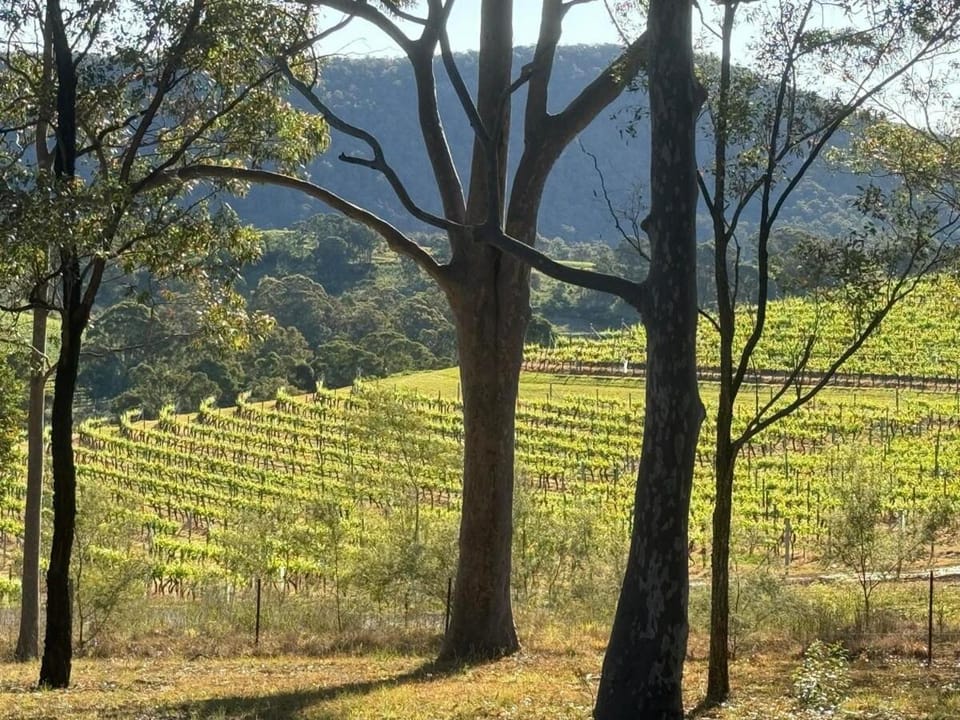 Chardonnay self contained home Apartment in Mount View