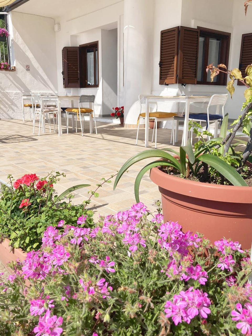 Property building, Patio