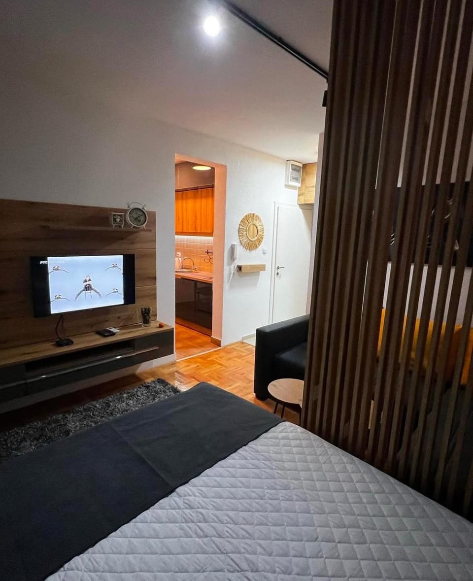 Apartmanii A&S Apartment in Serbia
